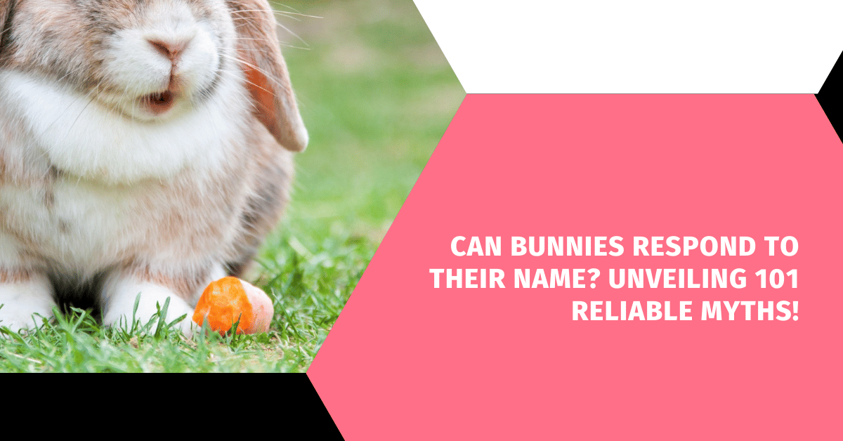 Can Bunnies Respond to Their Name? Unveiling 101 Reliable Myths!