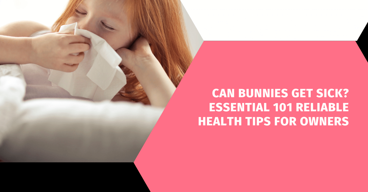 Can Bunnies Get Sick? Essential 101 Reliable Health Tips for Owners