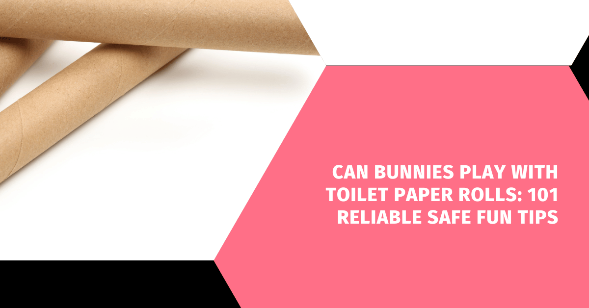 Can Bunnies Play With Toilet Paper Rolls: 101 Reliable Safe Fun Tips