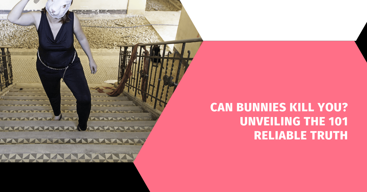 Can Bunnies Kill You? Unveiling the 101 Reliable Truth