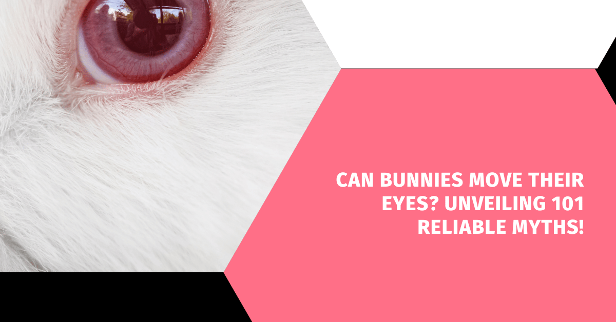 Can Bunnies Move Their Eyes? Unveiling 101 Reliable Myths!