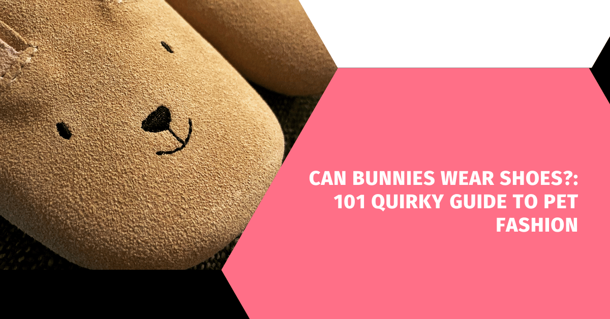 Can Bunnies Wear Shoes?: 101 Quirky Guide to Pet Fashion