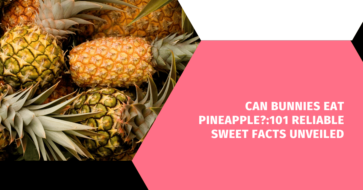 Can Bunnies Eat Pineapple?:101 Reliable Sweet Facts Unveiled