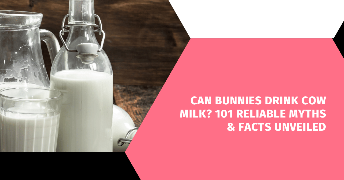 Can Bunnies Drink Cow Milk? 101 Reliable Myths & Facts Unveiled