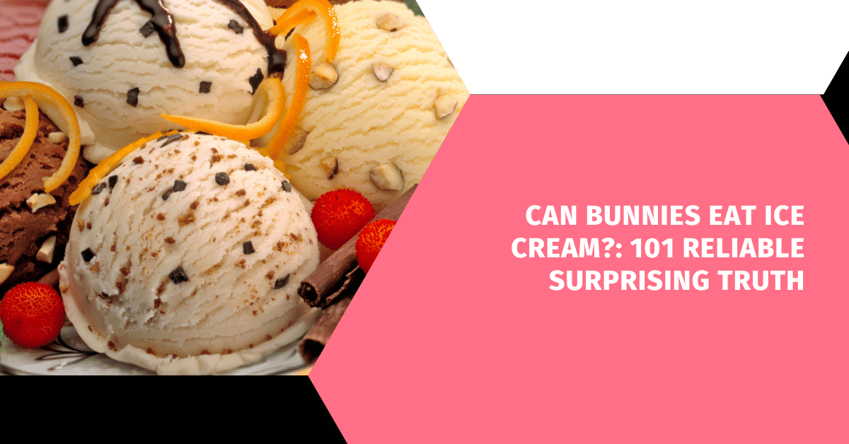 Can Bunnies Eat Ice Cream?: 101 Reliable Surprising Truth