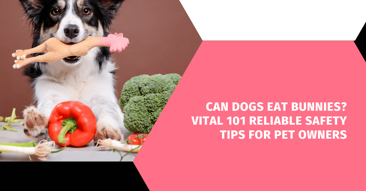 Can Dogs Eat Bunnies? Vital 101 Reliable Safety Tips for Pet Owners