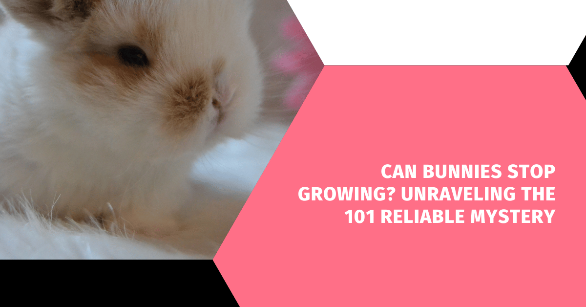 Can Bunnies Stop Growing? Unraveling the 101 Reliable Mystery