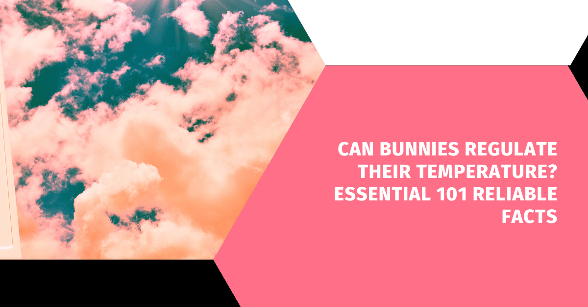 Can Bunnies Regulate Their Temperature? Essential 101 Reliable Facts