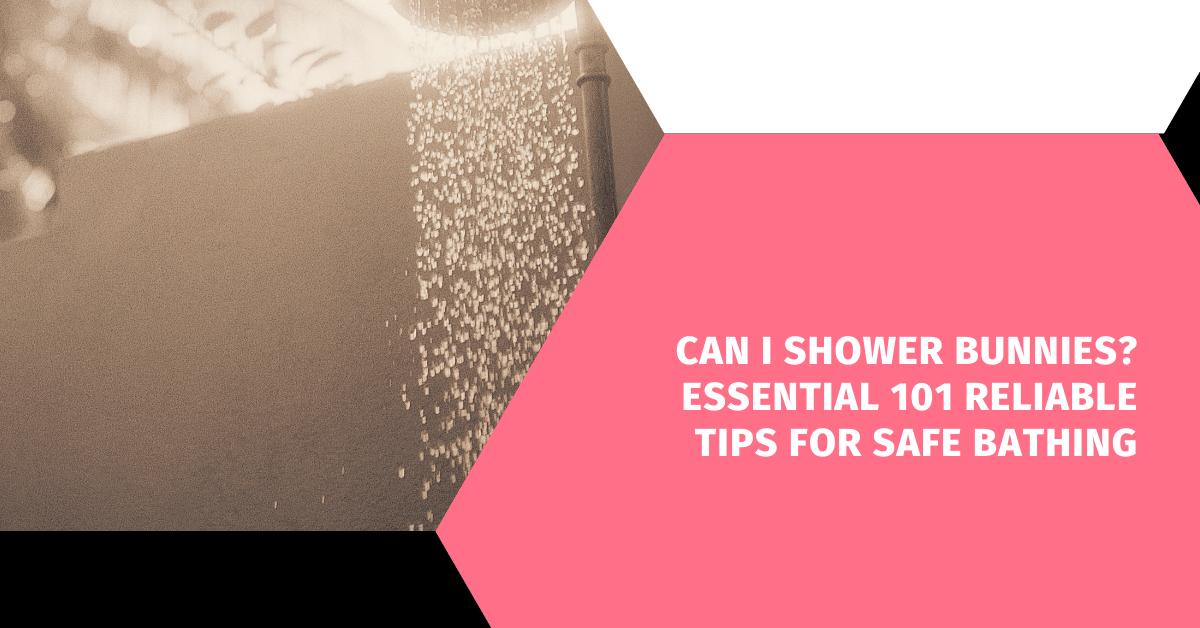 Can I Shower Bunnies? Essential 101 Reliable Tips for Safe Bathing
