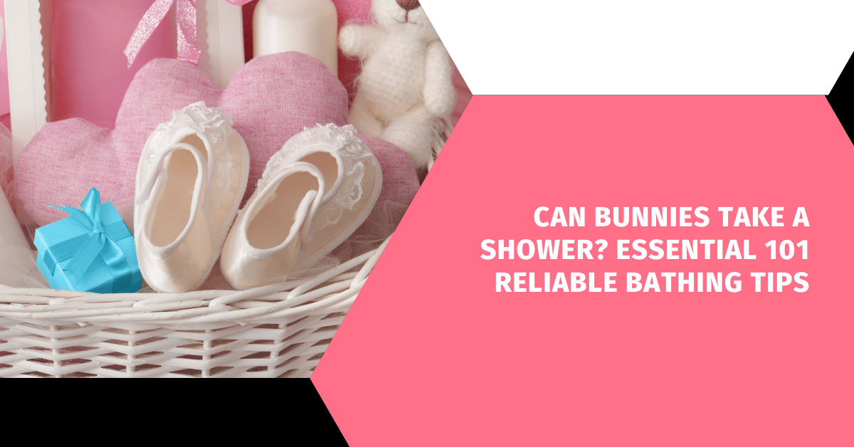 Can Bunnies Take a Shower? Essential 101 Reliable Bathing Tips