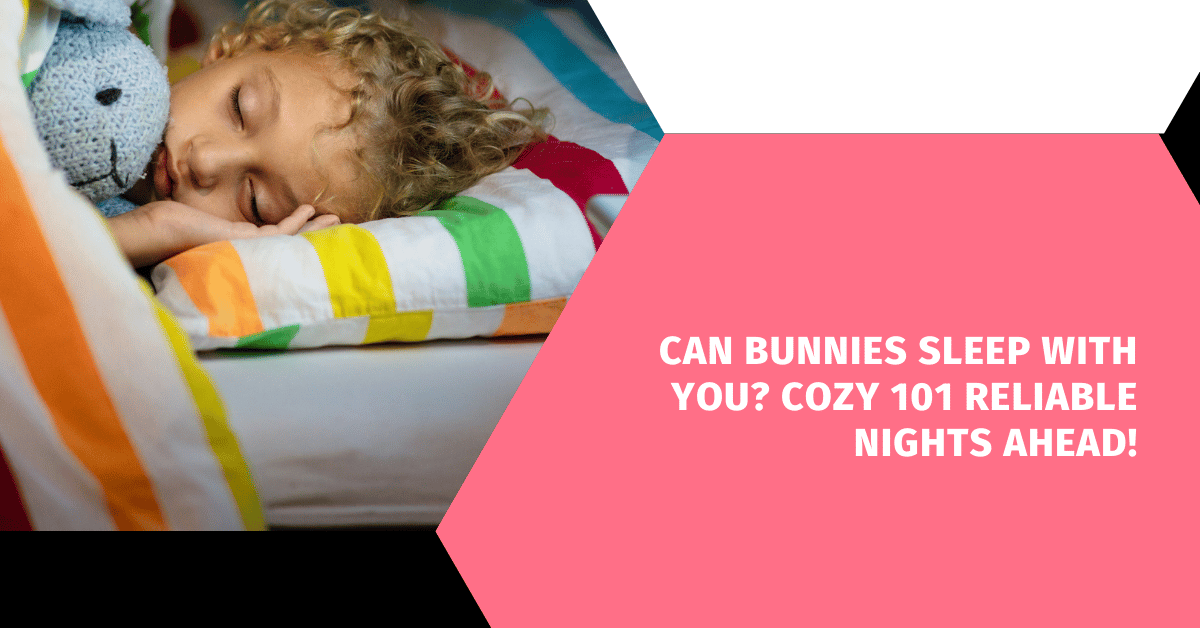 Can Bunnies Sleep With You? Cozy 101 Reliable Nights Ahead!