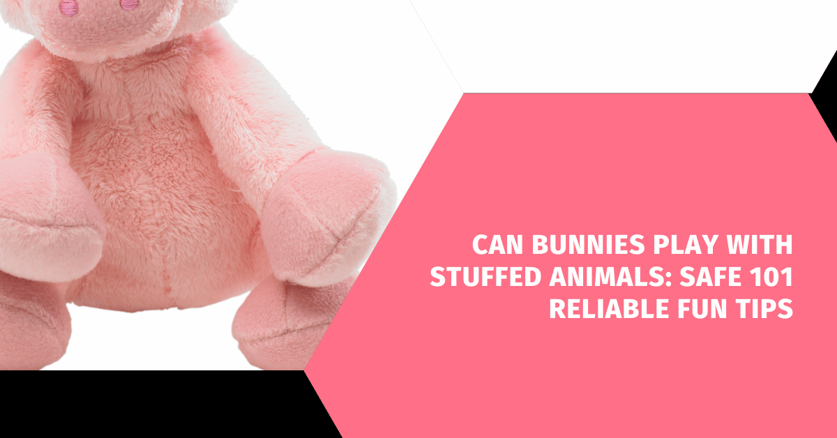 Can Bunnies Play With Stuffed Animals: Safe 101 Reliable Fun Tips