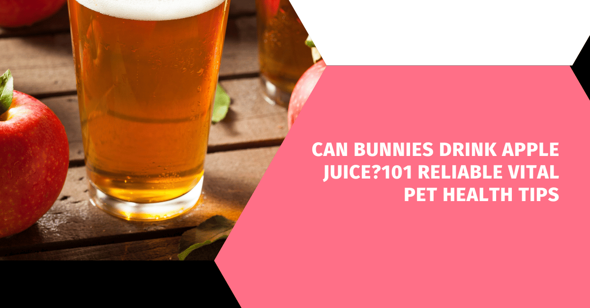 Can Bunnies Drink Apple Juice?101 Reliable Vital Pet Health Tips