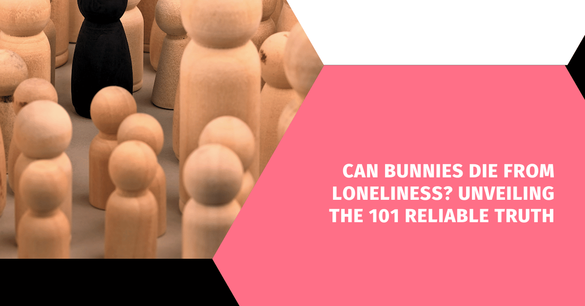 Can Bunnies Die from Loneliness? Unveiling the 101 Reliable Truth