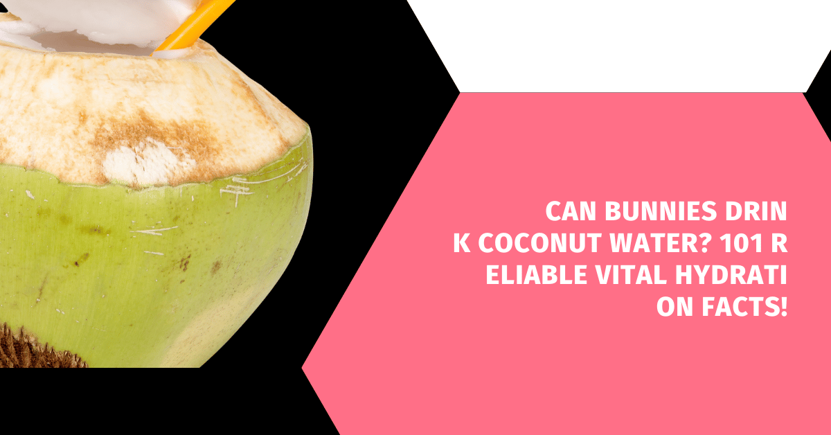 Can Bunnies Drink Coconut Water? 101 Reliable Vital Hydration Facts!