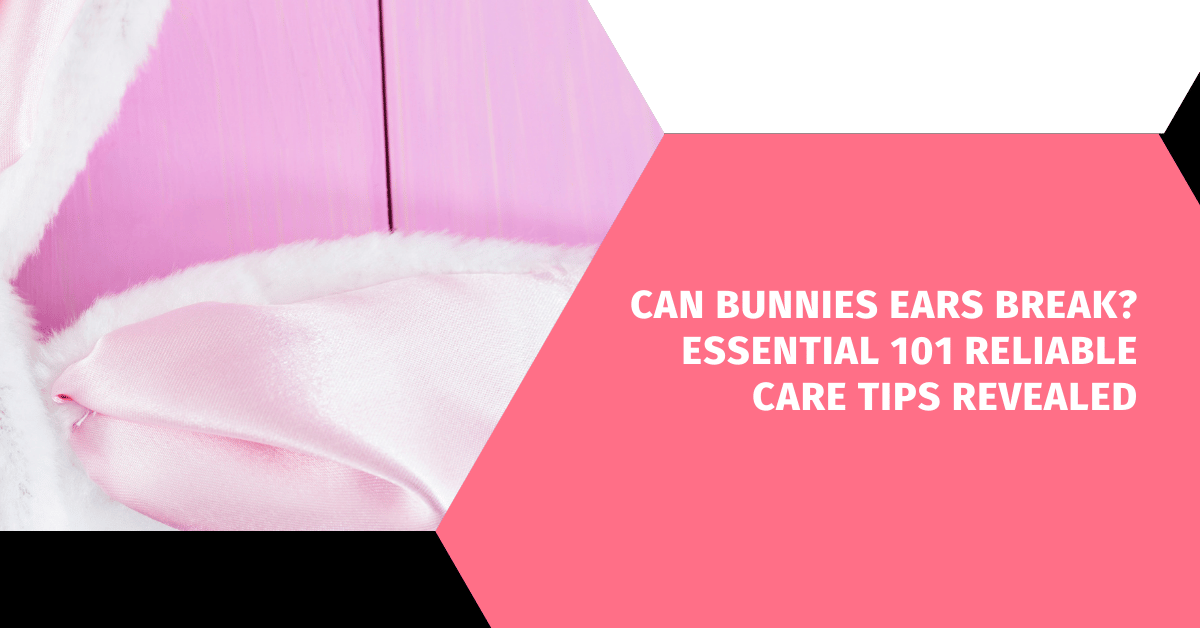 Can Bunnies Ears Break? Essential 101 Reliable Care Tips Revealed