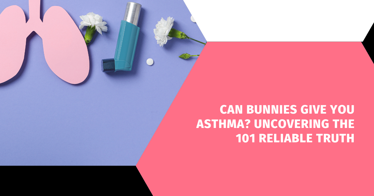 Can Bunnies Give You Asthma? Uncovering the 101 Reliable Truth